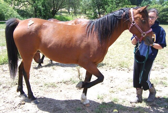 Tabatha